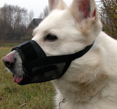Dogman Myk Munnkurv