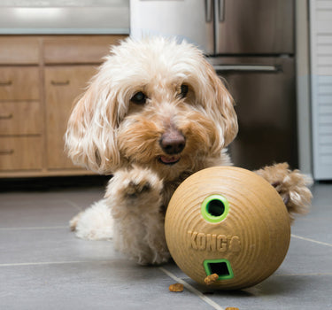 Aktiveringsleke Bamb Ball – Interaktiv Leke for Hund, Perfekt for Mental Stimulering