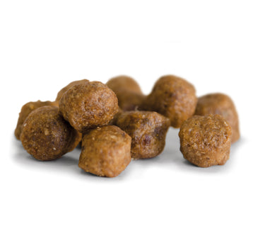 Bozita Robur Adult Sensitive Hundefôr – Laksebasert Fôr for Voksne Hunder med Sensitiv Magesystem