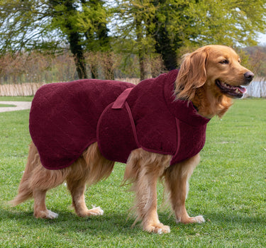 Siccaro Tørkedekken til hund
