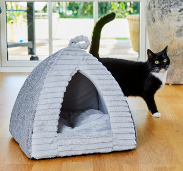 Igloo Lady