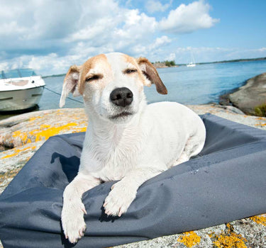 Bia Bed Outdoor Hundeseng – Holdbar og Værbestandig Hundeseng, Ideell for Utendørsbruk