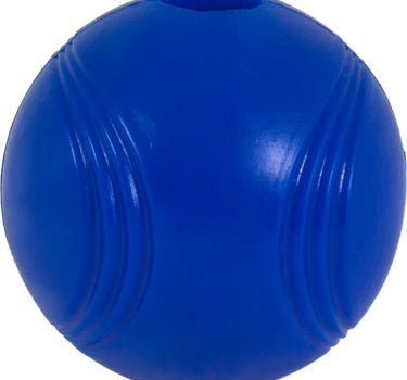 CHUCKIT Super crunch Fetch bold