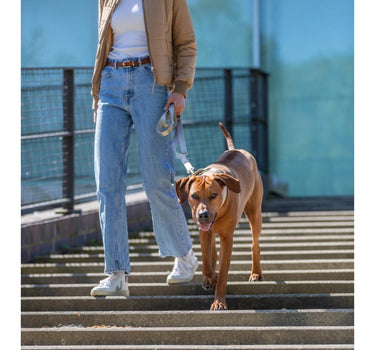 Trixie Premium Justerbar Hundekobbel