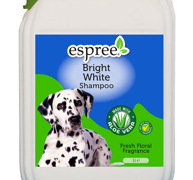 Bright White Shampoo Hund
