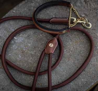 Jacson Asti Hundehalsbånd – Elegant og Solid Halsbånd for Hund