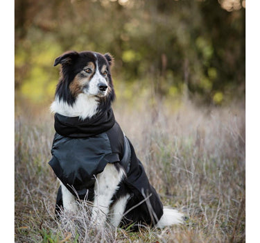 CATAGO FIR-Tech hundedekken