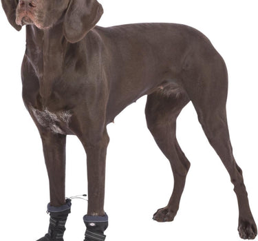 Trixie Paw Protection Walker Active  hundesko, 2 stk