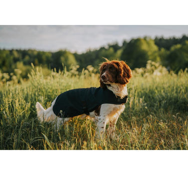 CATAGO Hybrid hundedekken