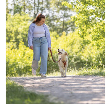 Trixie Premium Active hundesele