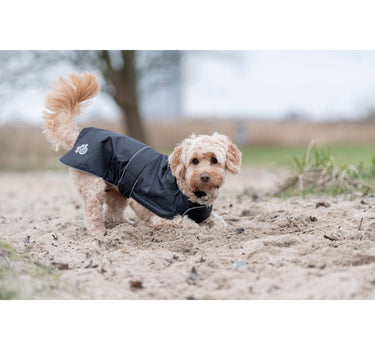 Trixie Orléans hundedekken - Svart