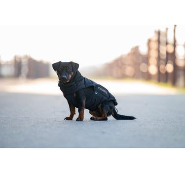 CATAGO FIR-Tech puffer hundedekken
