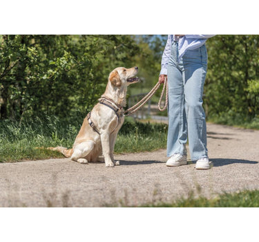 Trixie Premium trekksele til hunder