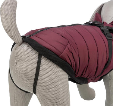 Trixie Pirou vinterdekken med sele - Varm & Komfortabel dekken for hund