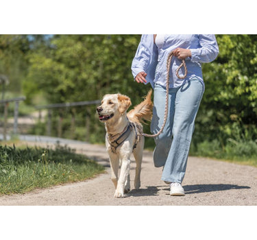 Trixie Premium trekksele til hunder