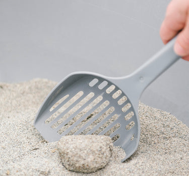 Kullet Genie Scoop
