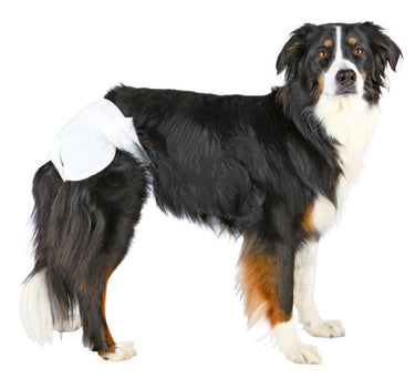Trixie Tispetruse, egangsbleier