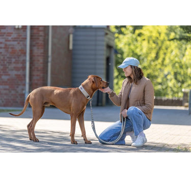 Trixie Premium halsbånd til hund, med neoprenpolstring, ekstra bred