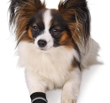 Trixie Walker Care Comfort hundesko