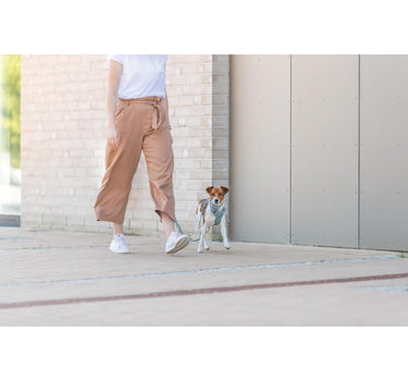 Trixie Premium Active hundesele