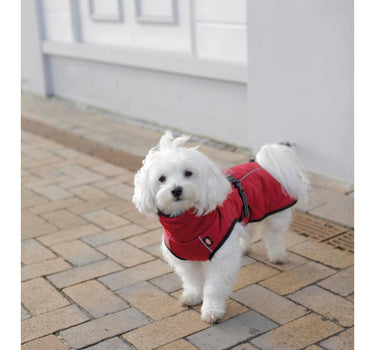Trixie Minot hundedekken Rød