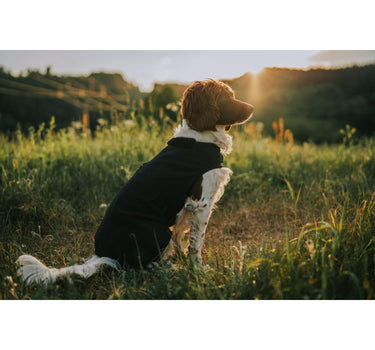 CATAGO Hybrid hundedekken