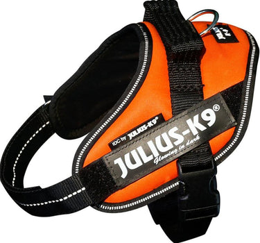 Julius-K9 IDC-hundesele
