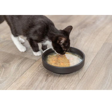 Trixie suppe med kylling og rejer