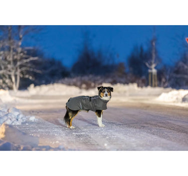 Trixie Limoux hundedekken Grå