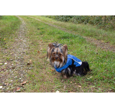 Companion Vind- og vanntett hundedekken