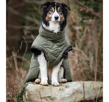 CATAGO FIR-Tech Trainer hundedekken
