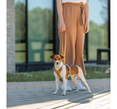 Trixie Premium Active hundesele