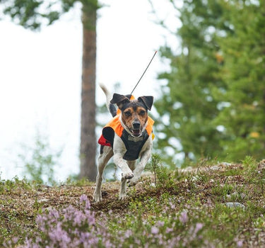 Nonstop Dogwear Beskyttelsesvest med GPS for Hund