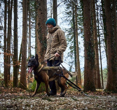 Nonstop Dogwear Freemotion Hundesele WD