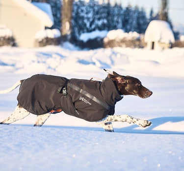 Nonstop Dogwear Trekking Isolert Hundejakke – Varm og Beskyttende Jakke