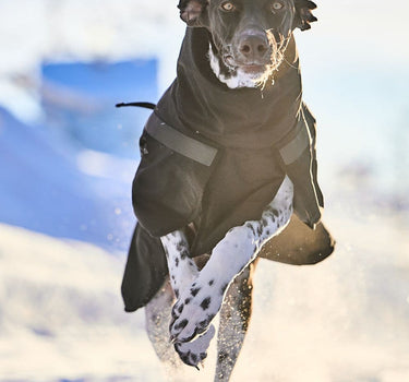 Nonstop Dogwear Trekking Isolert Hundejakke – Varm og Beskyttende Jakke