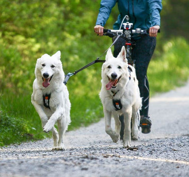 Nonstop Dogwear Touring Dobbel Hundbånd