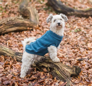 Trixie Kenton hundegenser i Blå - Strikket av Ull