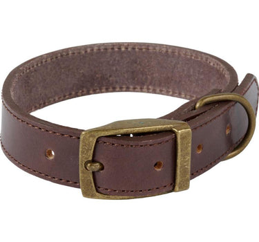 Companion Lærhalsbånd for hunder