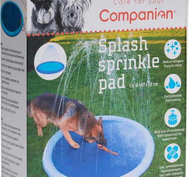 Companion Hundebasseng med sprinkel