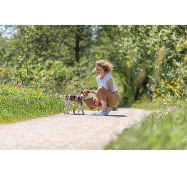 Trixie Premium trekksele til hunder