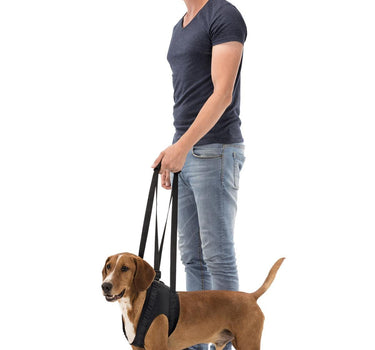 Trixie Walking aid - Hjelpemiddel til for hunder