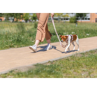 Trixie Premium trekksele til hunder