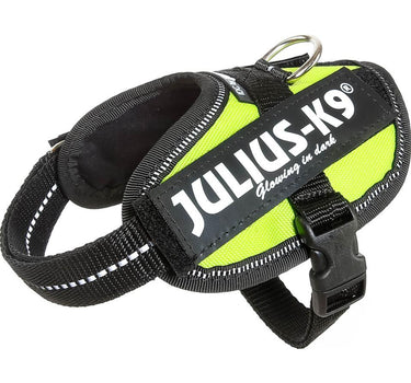 Julius-K9 IDC-hundesele