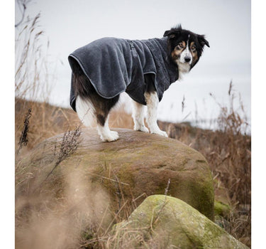 CATAGO hurtigtørkende hundedekken