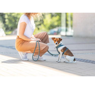 Trixie Premium Active hundesele