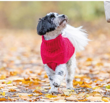 Trixie Norwood hundegenser Rød - Komfortabelt Strikket