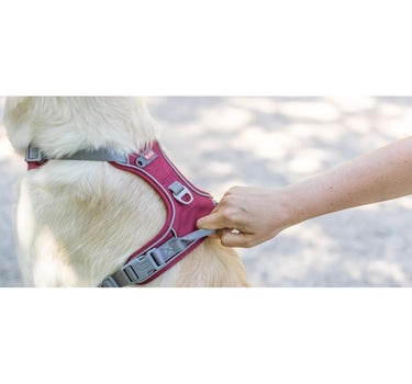Trixie Premium Active hundesele