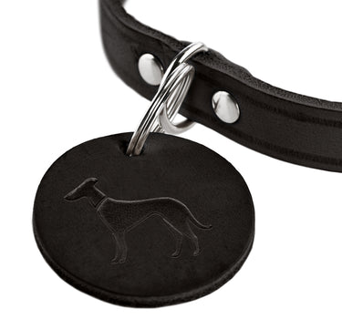 Hunter Skinnhalsbånd til hund ,Aalborg