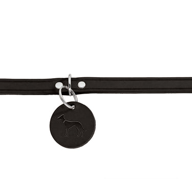 Hunter Skinnhalsbånd til hund ,Aalborg